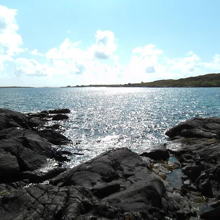 Seafield House B&B-3